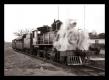 Vlak z roku 1919 na cestě do údolí Los Ingenios