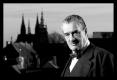 Karel Schwarzenberg, politik