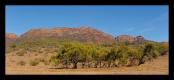 Flinders Ranges National Park 2